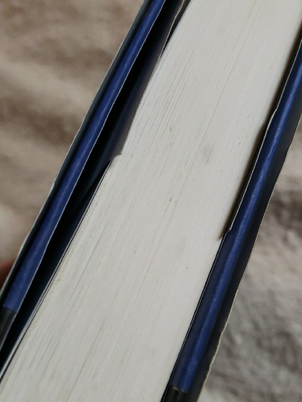 2012 First Edition - Robert B. Parker's Lullaby by Ace Atkins - Hardcover Novel - Picture 11 of 14